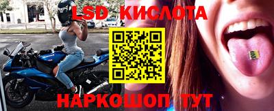 spice Краснодар