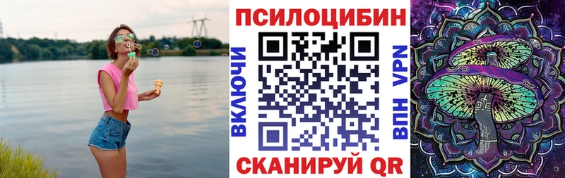 Псилоцибиновые грибы MAGIC MUSHROOMS  как найти закладки  Кизляр 