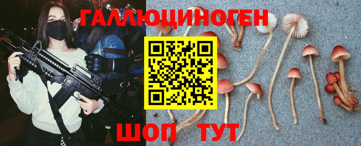 Кизляр  Псилоцибиновые грибы ЛСД  Вход с VPN  Псилоцибиновые грибы Magic Shrooms 