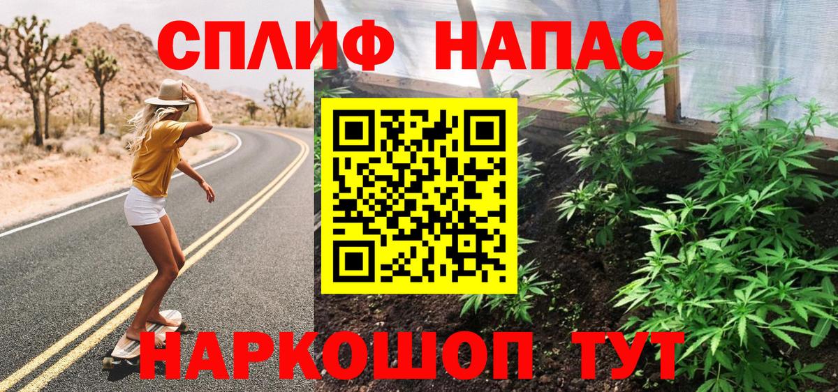 Бошки Шишки план Кизляр